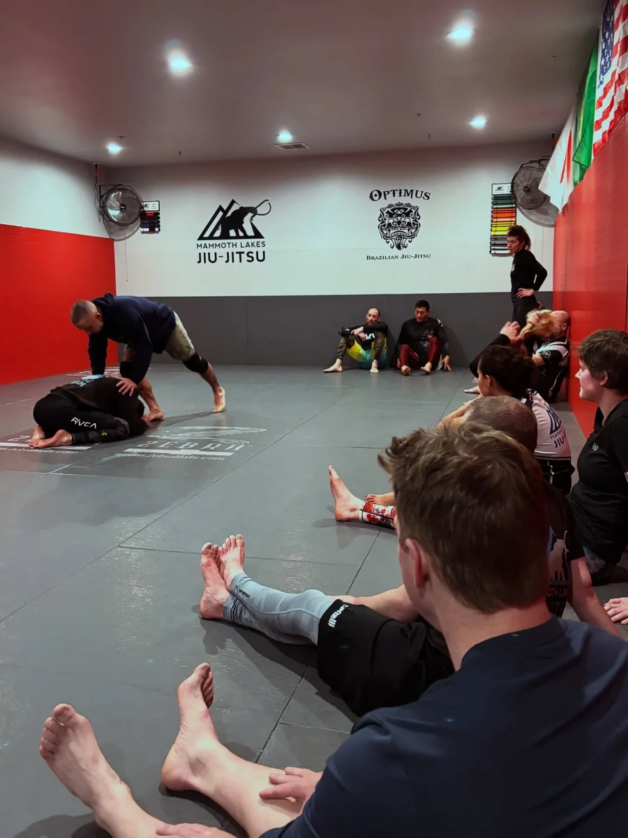 Mammoth Lakes Jiujitsu facility image