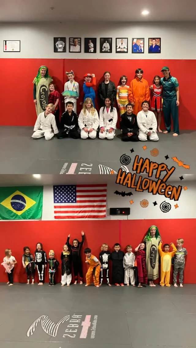Mammoth Lakes Jiujitsu facility image