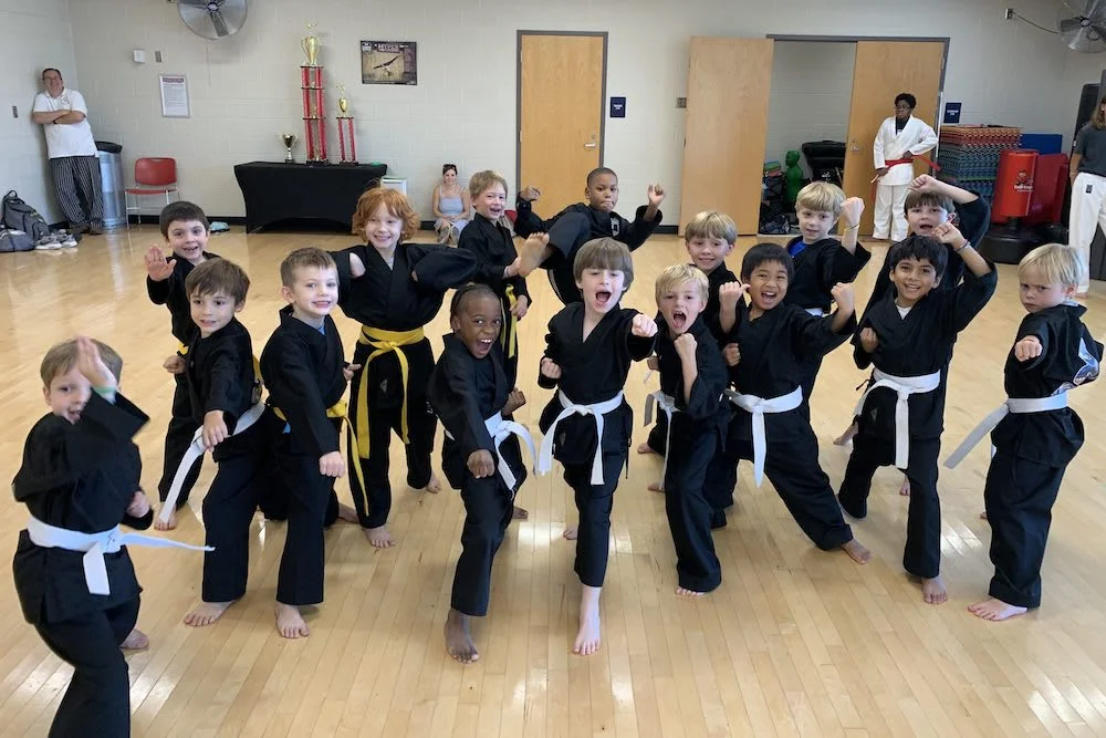 North Star Martial Arts facility image