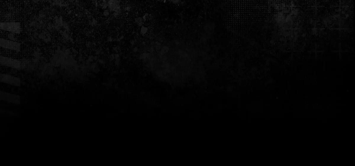 Tiger-Rock Martial Arts academy logo