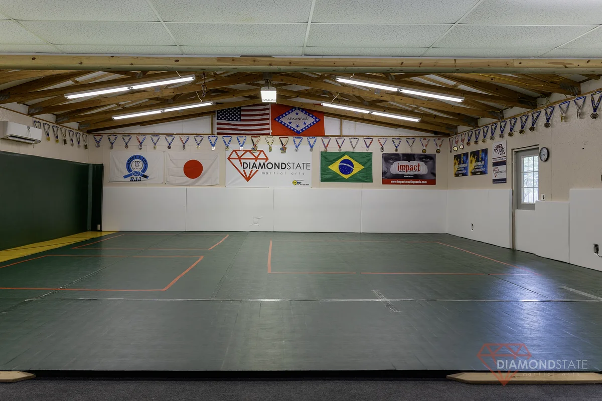 Diamond State Martial Arts facility image