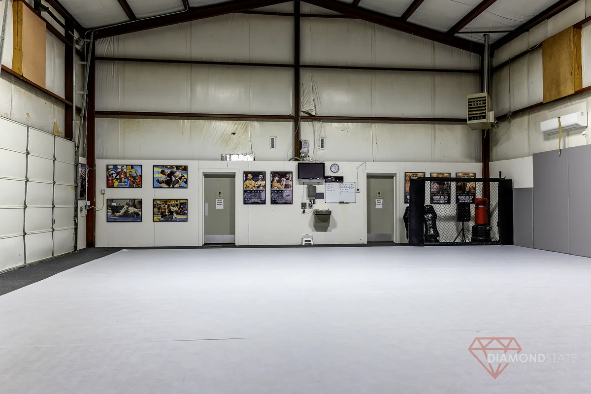 Diamond State Martial Arts facility image