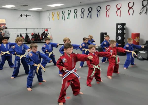 Professional Black Belt Academy facility image