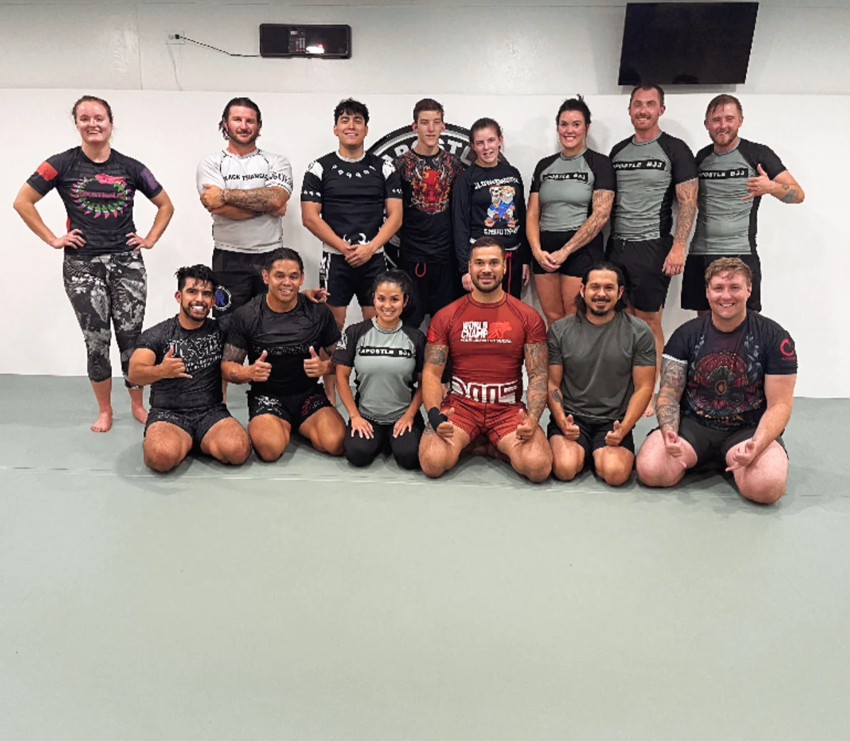 APOSTLE JIU-JITSU ACADEMY facility image