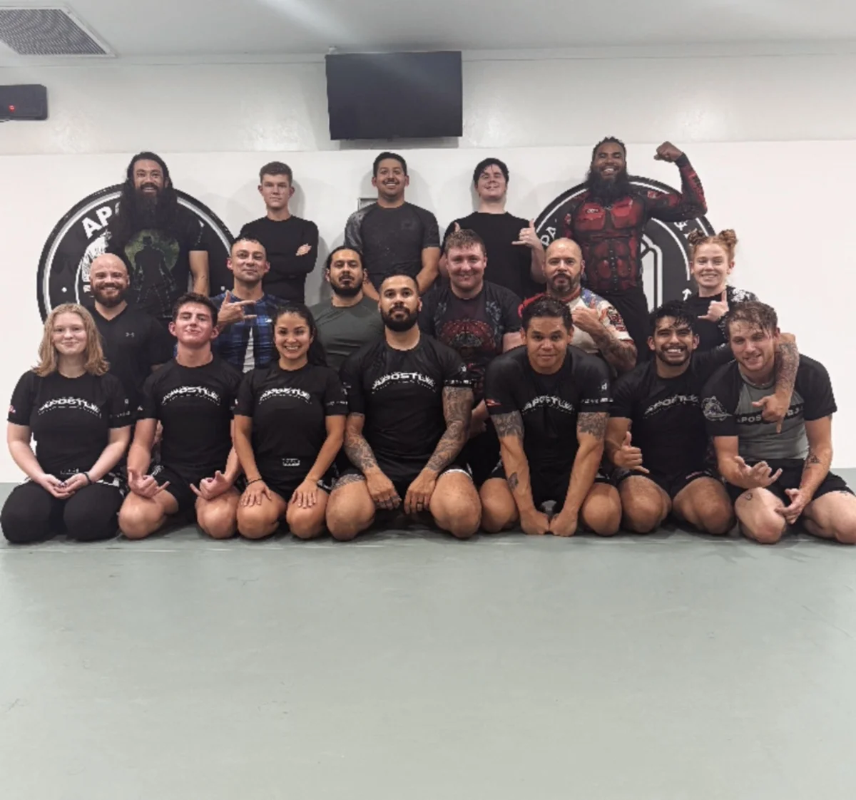 APOSTLE JIU-JITSU ACADEMY facility image