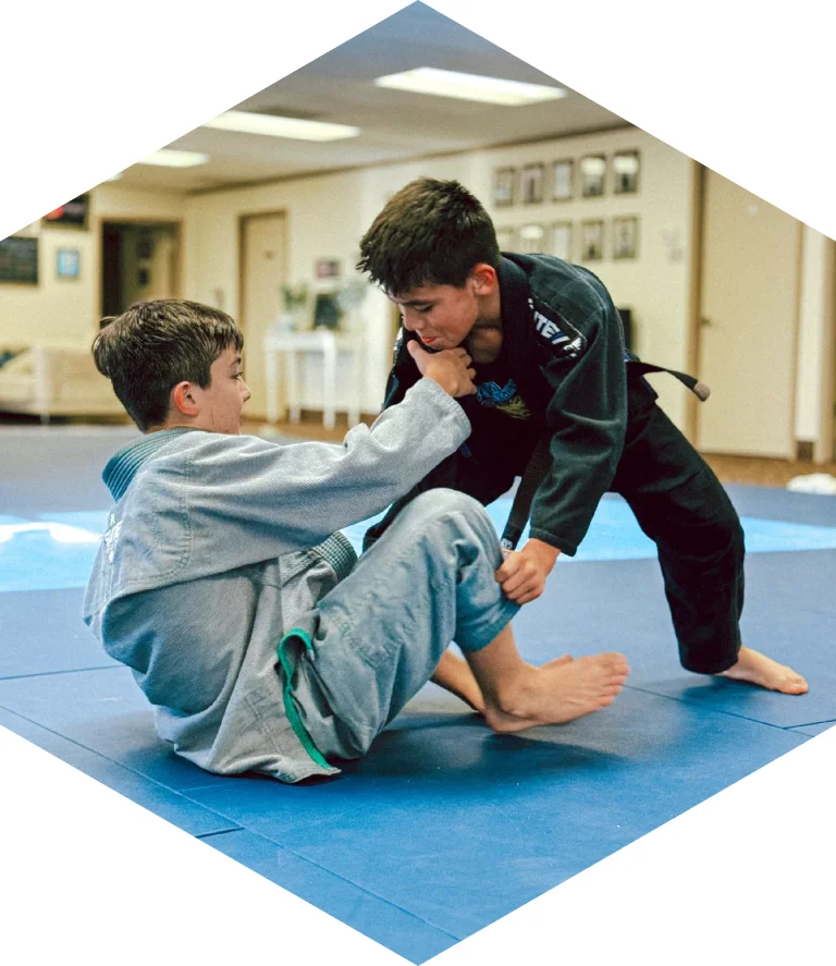 Cove Jiu Jitsu facility image