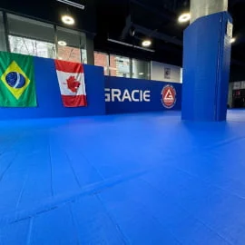 Gracie Barra - Anthem facility image