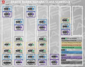 Gracie Barra Marana facility image