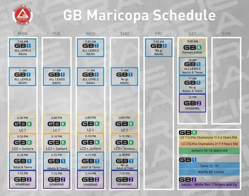 Gracie Barra Maricopa Brazilian Jiu-Jitsu facility image