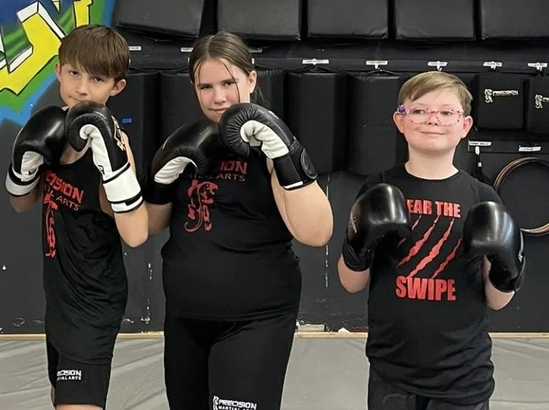Precision Martial Arts (PMA) / Precision Mixed Martial Arts facility image