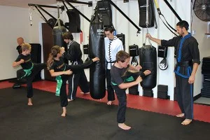 5 Elements Martial Arts San Diego academy logo
