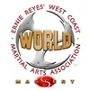 Adult Martial Arts — WEST COAST BERRYESSA - Martial Arts facility image
