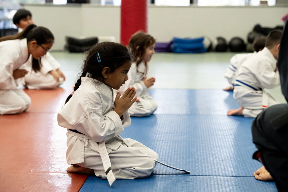 Adult Martial Arts — WEST COAST BERRYESSA - Martial Arts facility image