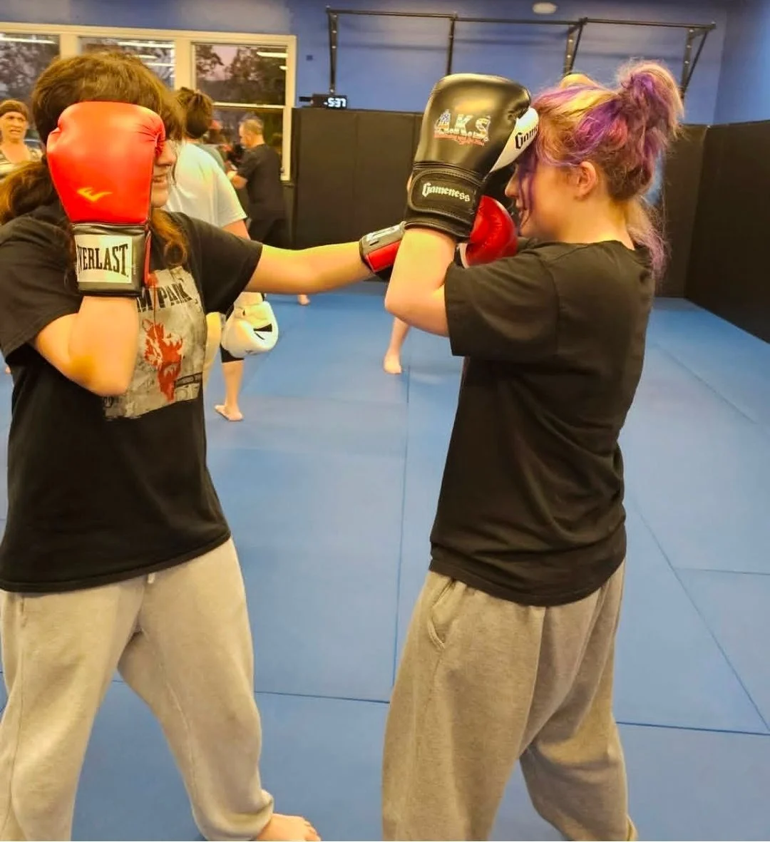 AFFINITY KICKBOXING STUDIO (AKS JIU JITSU) academy logo