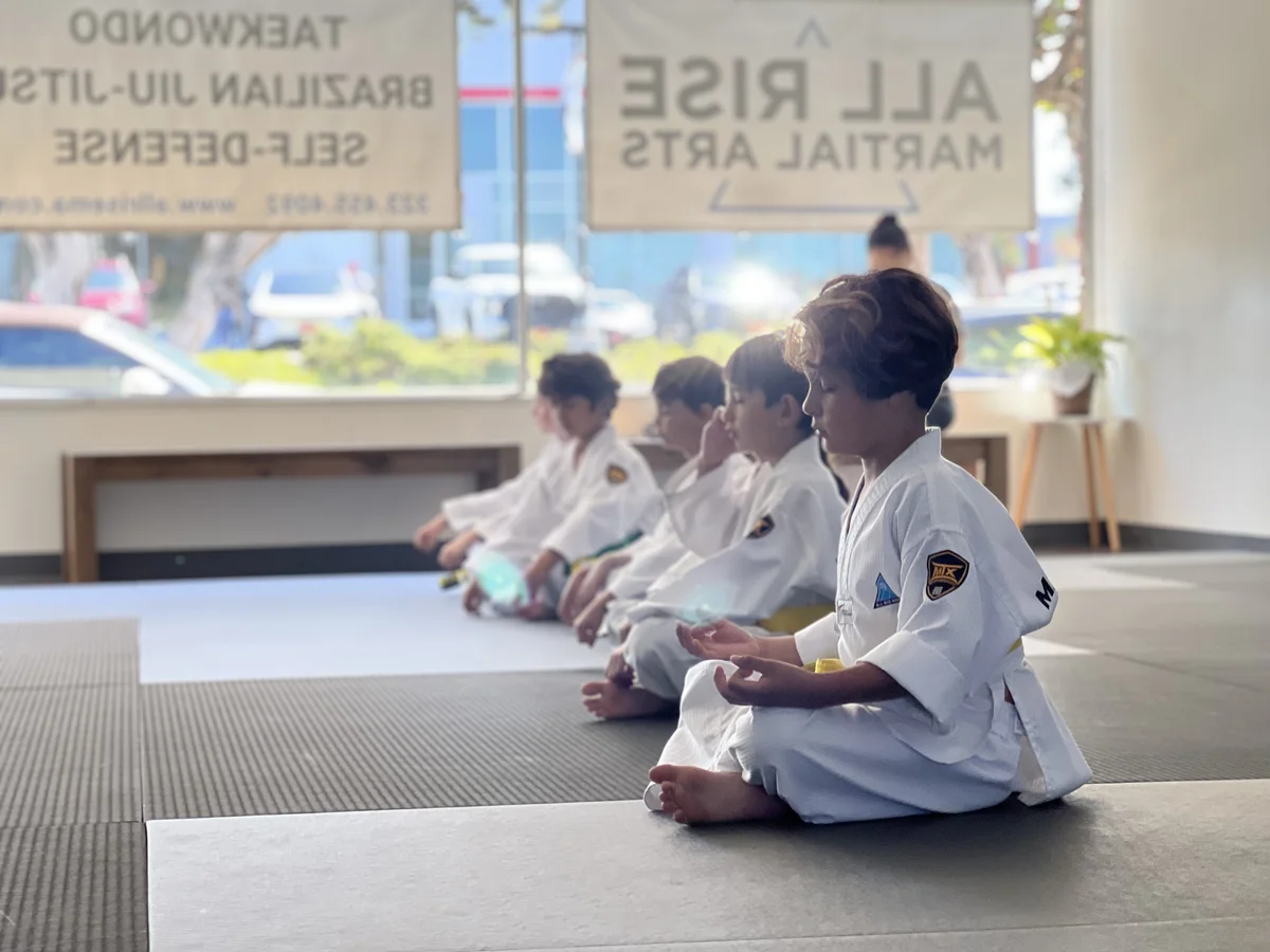 All Rise Martial Arts facility image