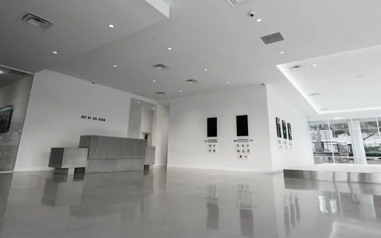 AOJ (Art of Jiu-Jitsu) Academy facility image