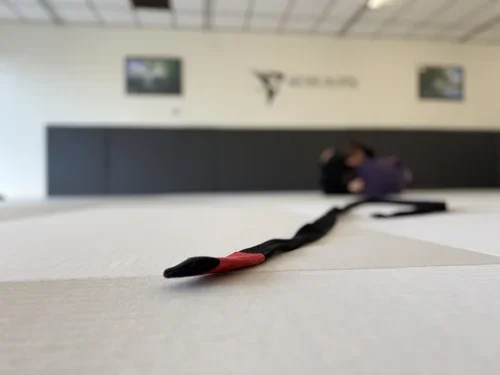 Archer Jiu Jitsu facility image