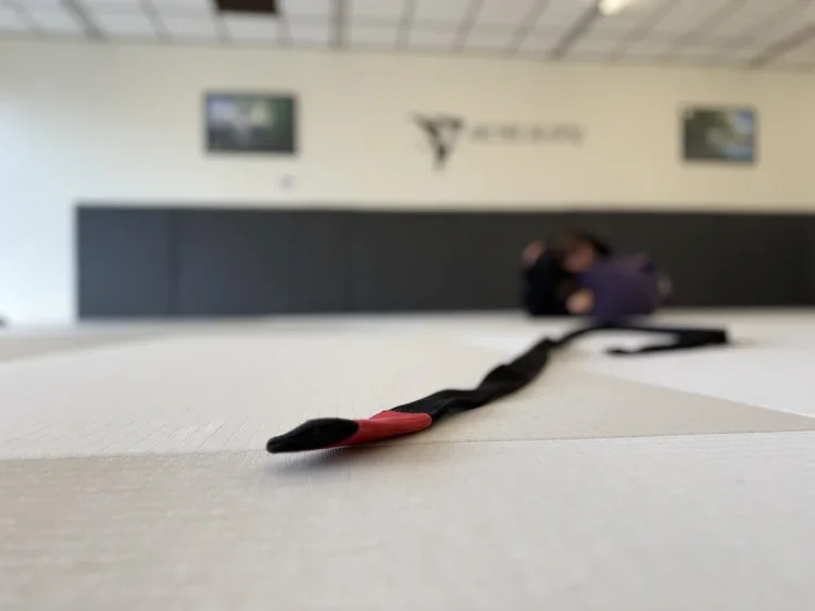 Archer Jiu Jitsu facility image