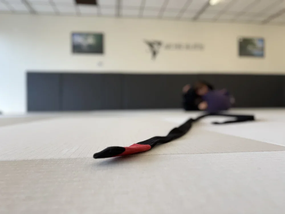 Archer Jiu Jitsu facility image