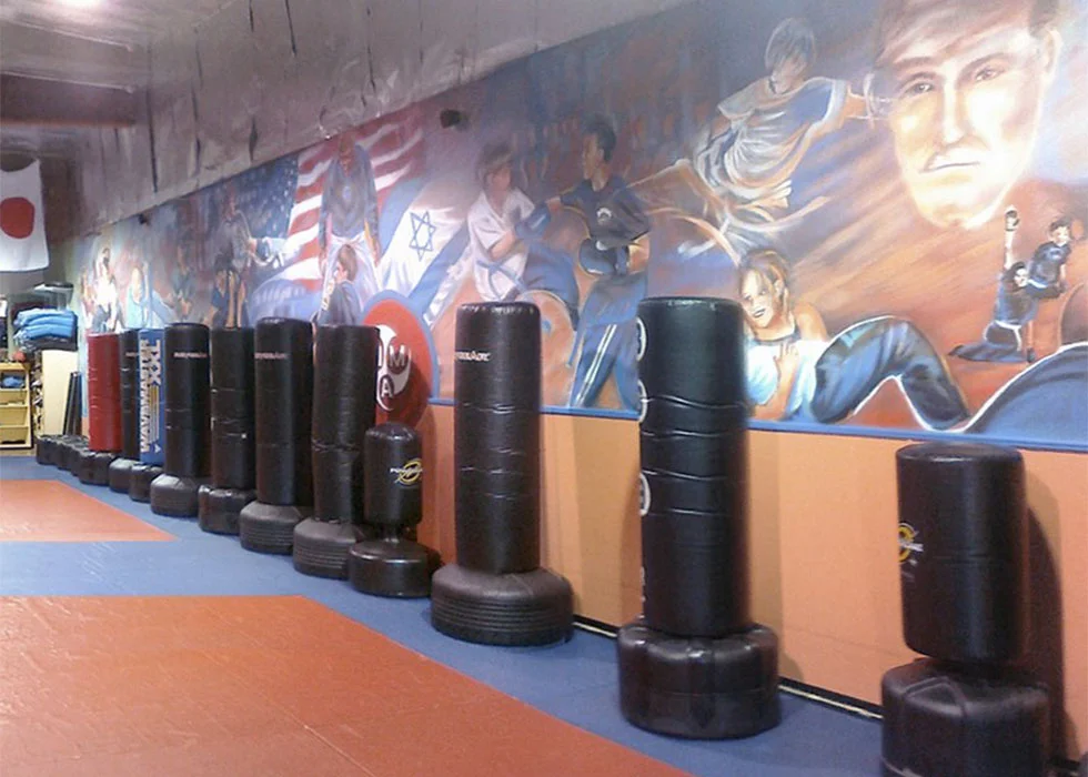 Aziz Mixed Martial Arts facility image