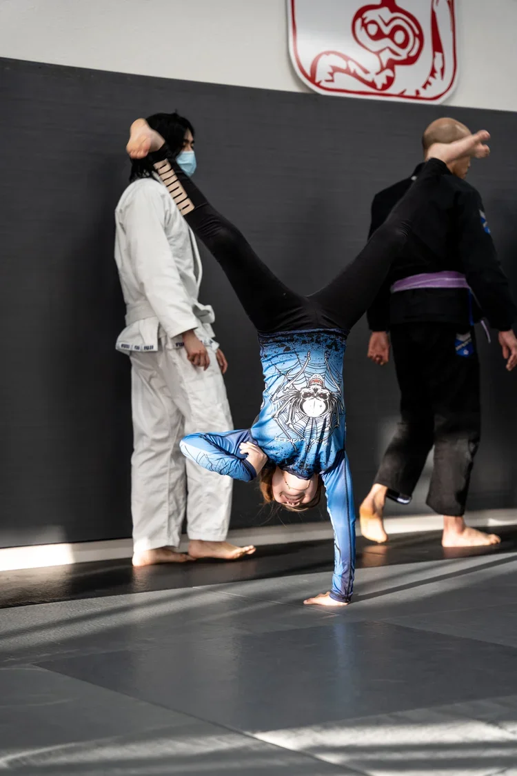 Fremont Jiu Jitsu (BJJ) facility image