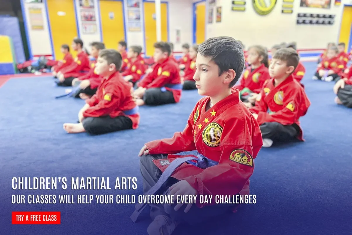 Bejanian Martial Arts North Hollywood facility image