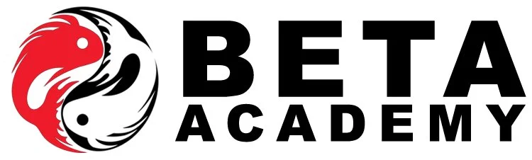 BETA Academy academy logo