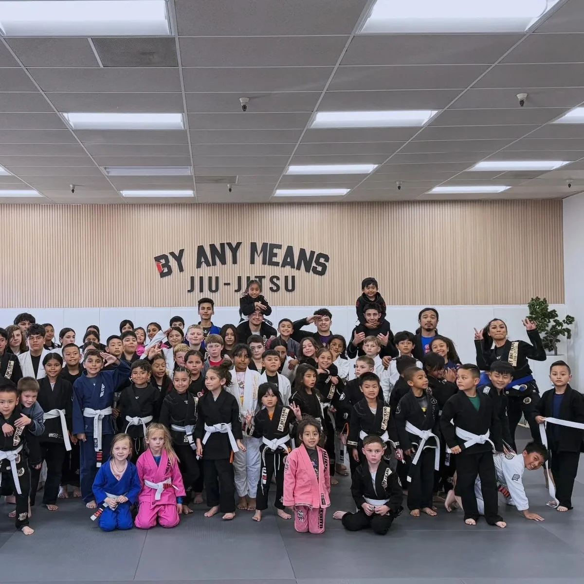 By Any Means Jiu-Jitsu Academy facility image