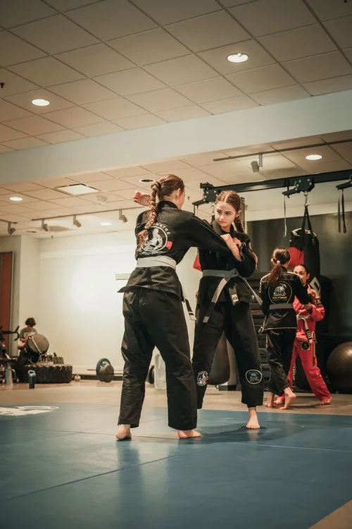 California Combat Club Jiu-Jitsu facility image