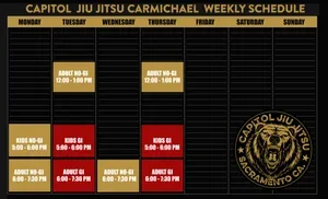 Capitol Jiu Jitsu - Carmichael facility image