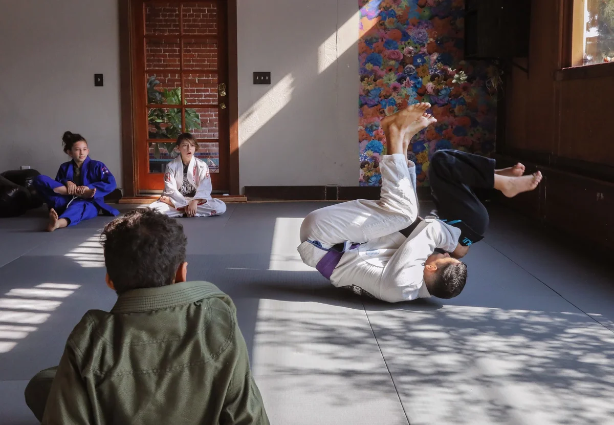 Capitol Jiu Jitsu - Carmichael facility image