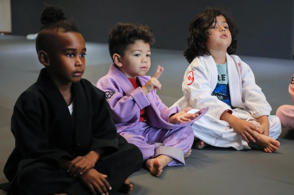 Capitol Jiu Jitsu - Carmichael facility image