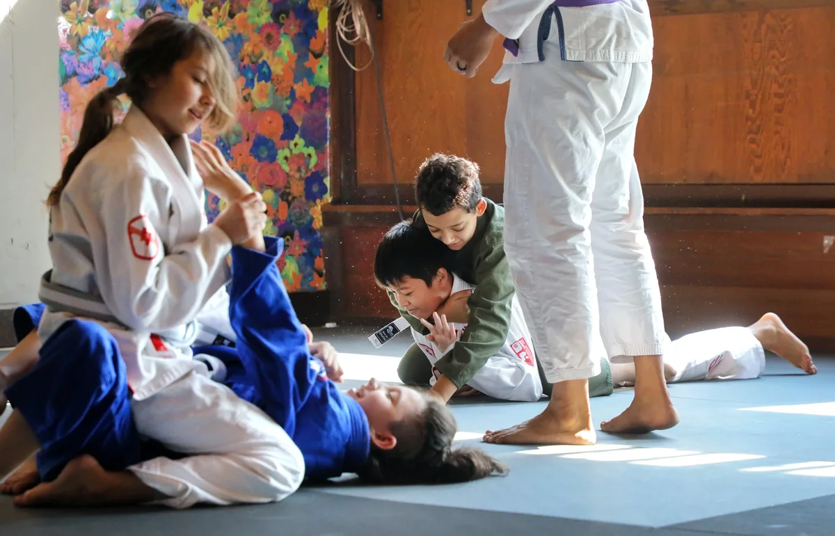 Capitol Jiu Jitsu - Carmichael facility image