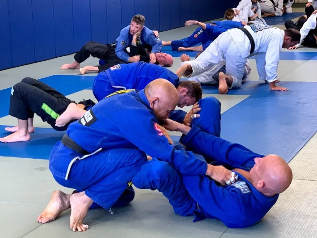 Claudio França BJJ facility image