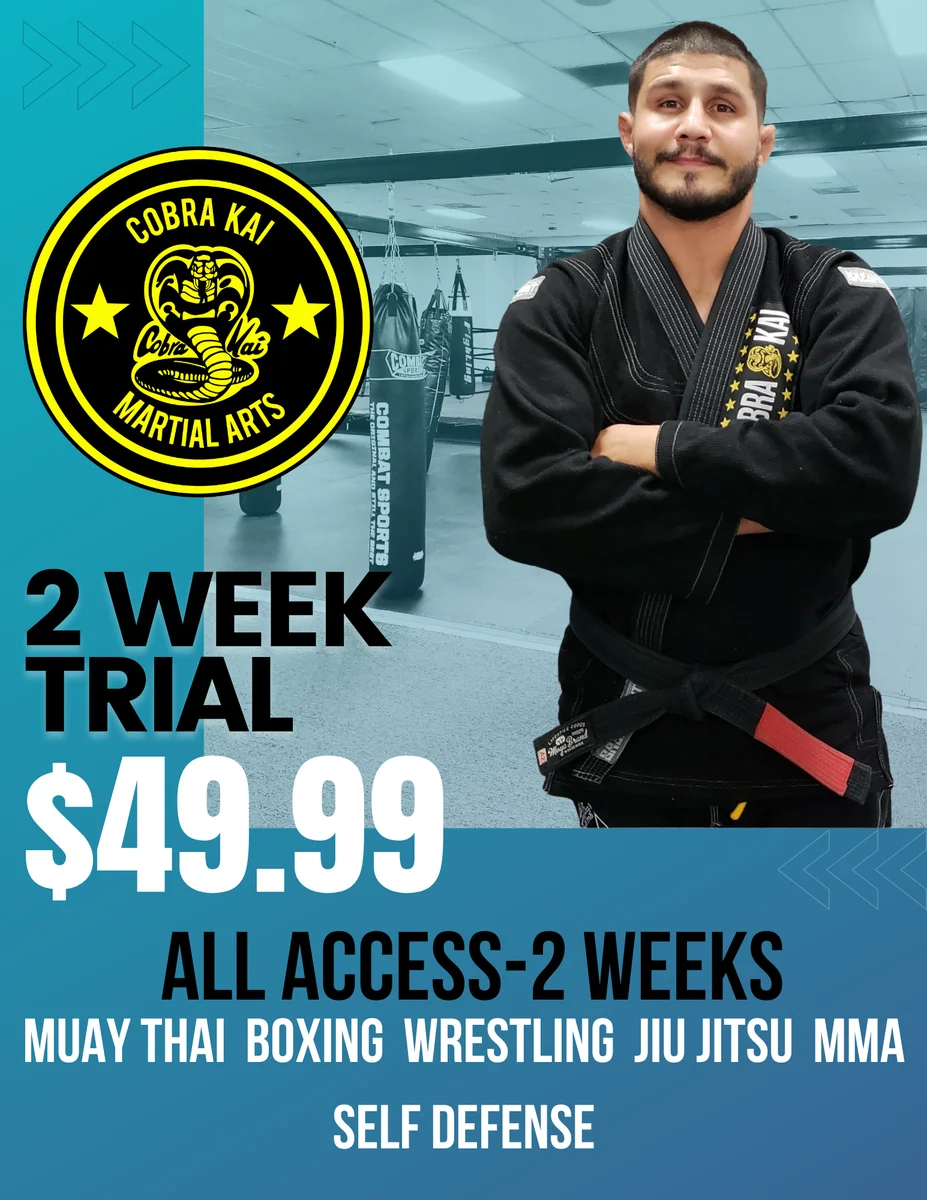 Cobra Kai Martial Arts facility image