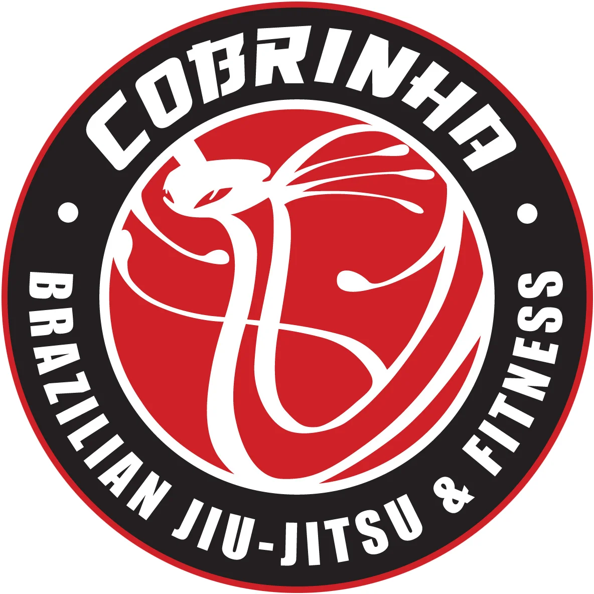 Cobrinha Brazilian Jiu-Jitsu & Fitness facility image