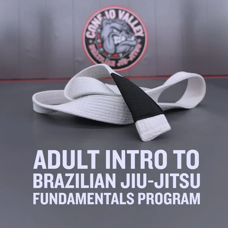 Conejo Valley Brazilian Jiu Jitsu facility image