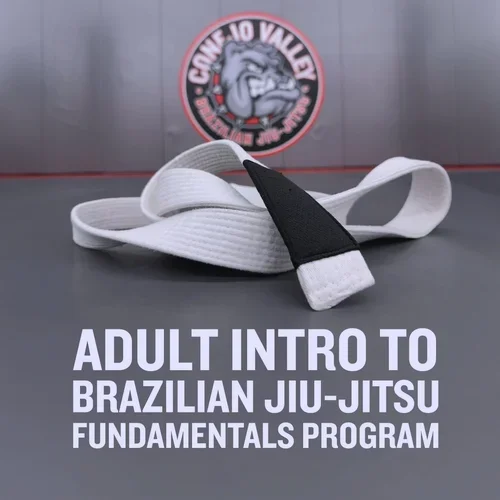Conejo Valley Brazilian Jiu Jitsu facility image