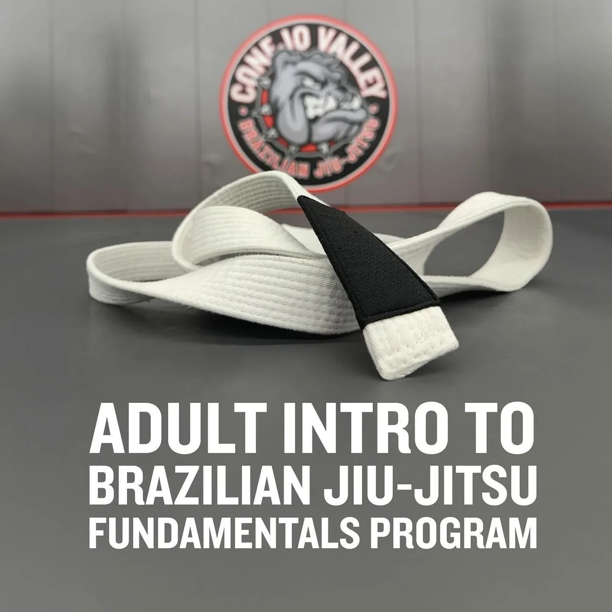 Conejo Valley Brazilian Jiu Jitsu facility image