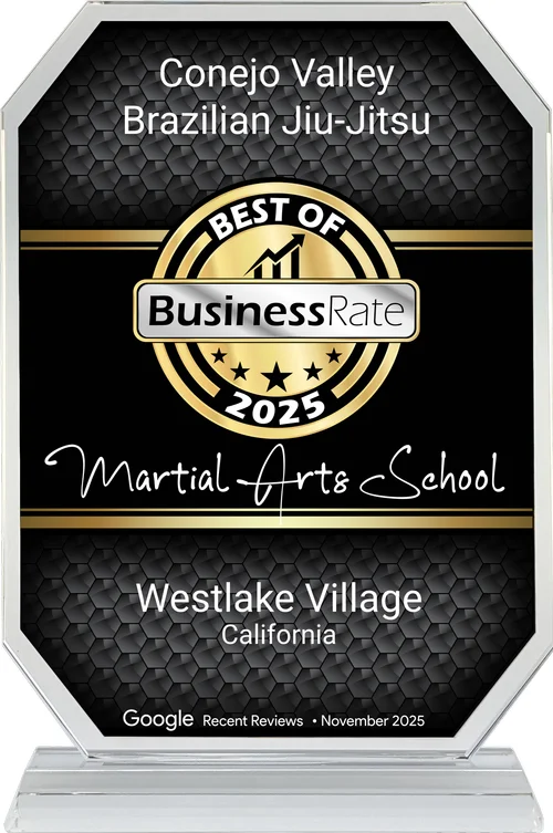 Conejo Valley Brazilian Jiu Jitsu facility image