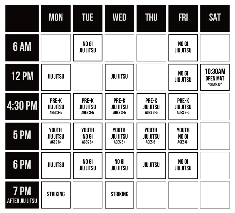 Costa Mesa Jiu Jitsu (Triangle Square) facility image