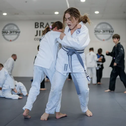 Costa Mesa Jiu Jitsu (Triangle Square) facility image