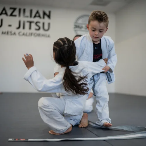 Costa Mesa Jiu Jitsu (Triangle Square) facility image