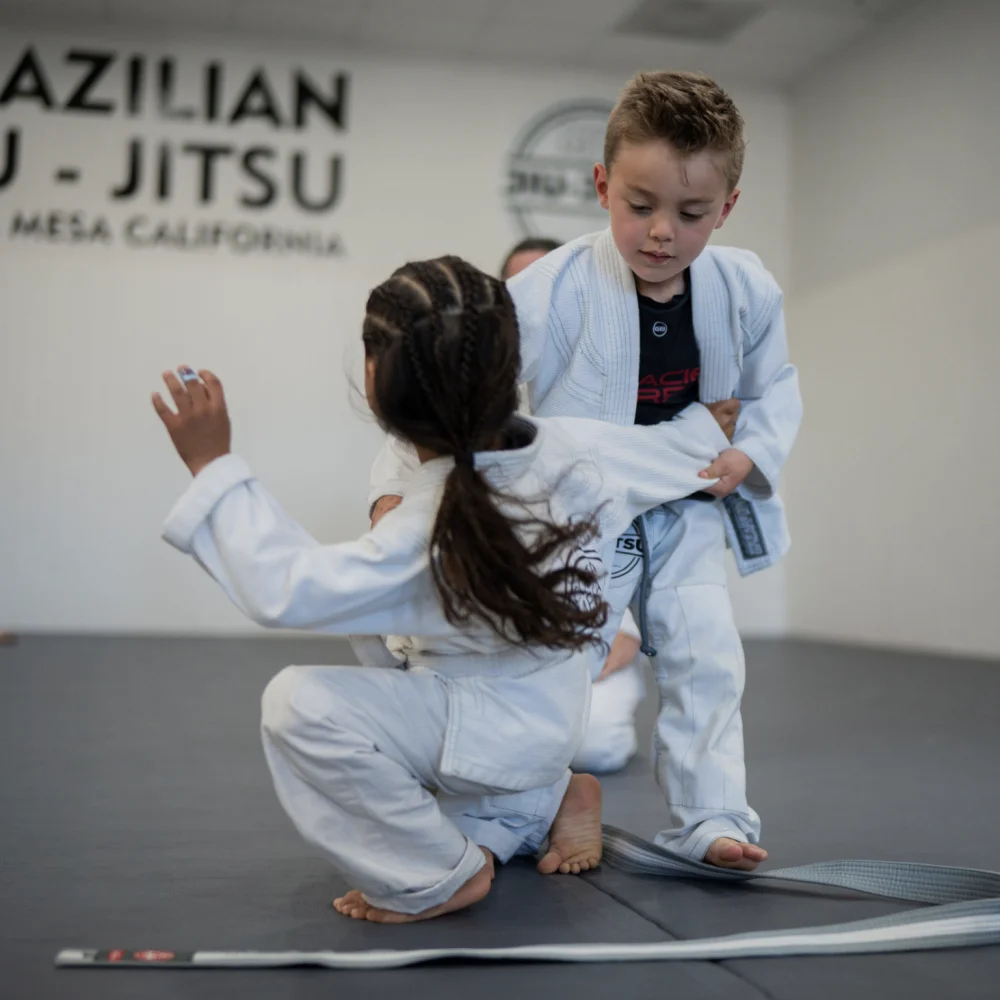 Costa Mesa Jiu Jitsu (Triangle Square) facility image
