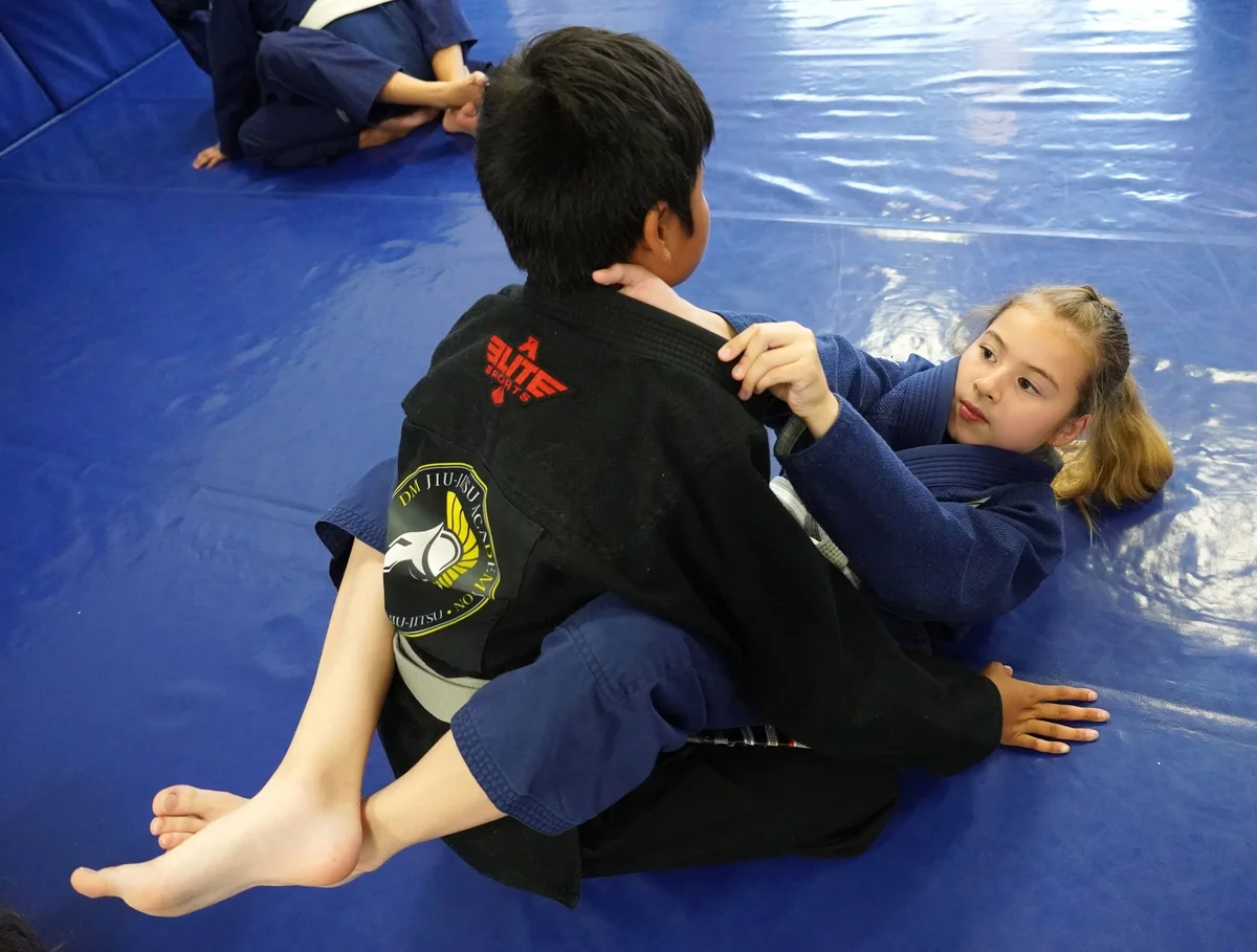 DM Brazilian Jiu Jitsu Academy facility image