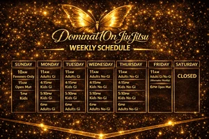 Dominat10n Jiu Jitsu facility image