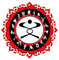 Dragons m.m.a. academy logo