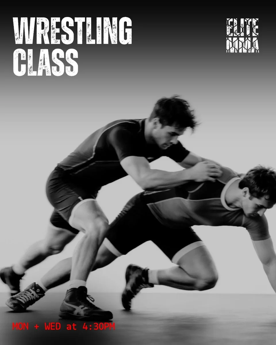 Elite MMA Gym facility image