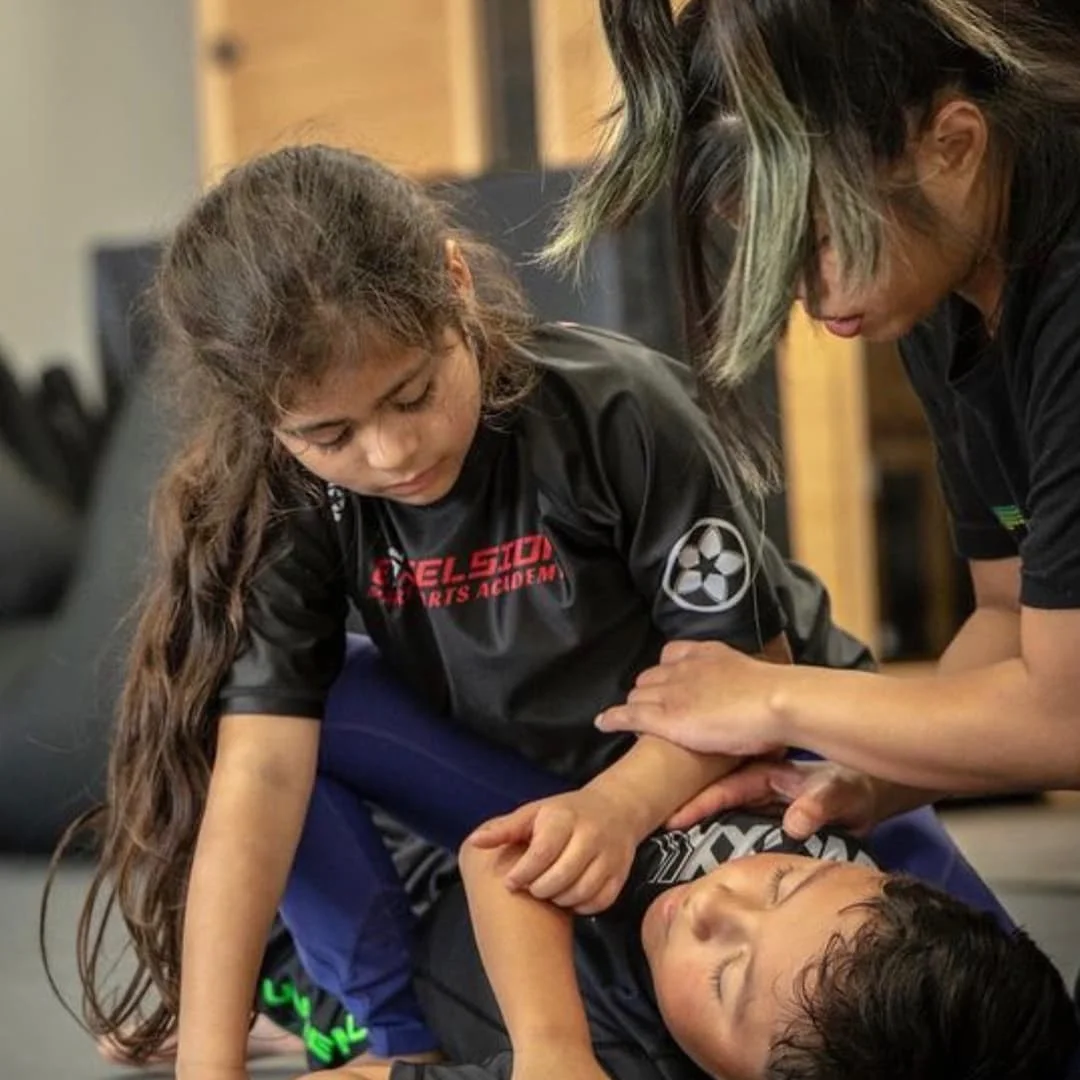 Excelsior Martial Arts Academy facility image