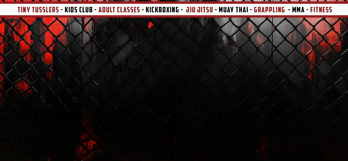 Fight Lab Mixed Martial Arts facility image